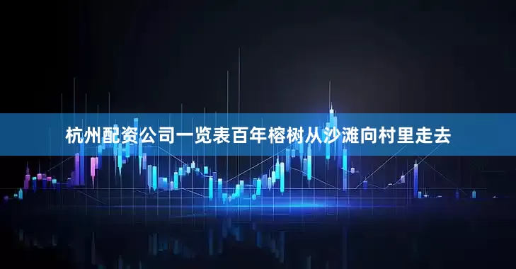 杭州配资公司一览表百年榕树从沙滩向村里走去
