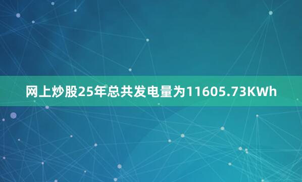 网上炒股25年总共发电量为11605.73KWh