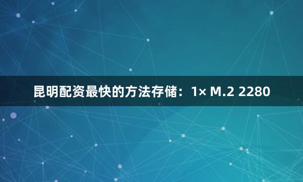 昆明配资最快的方法存储：1× M.2 2280